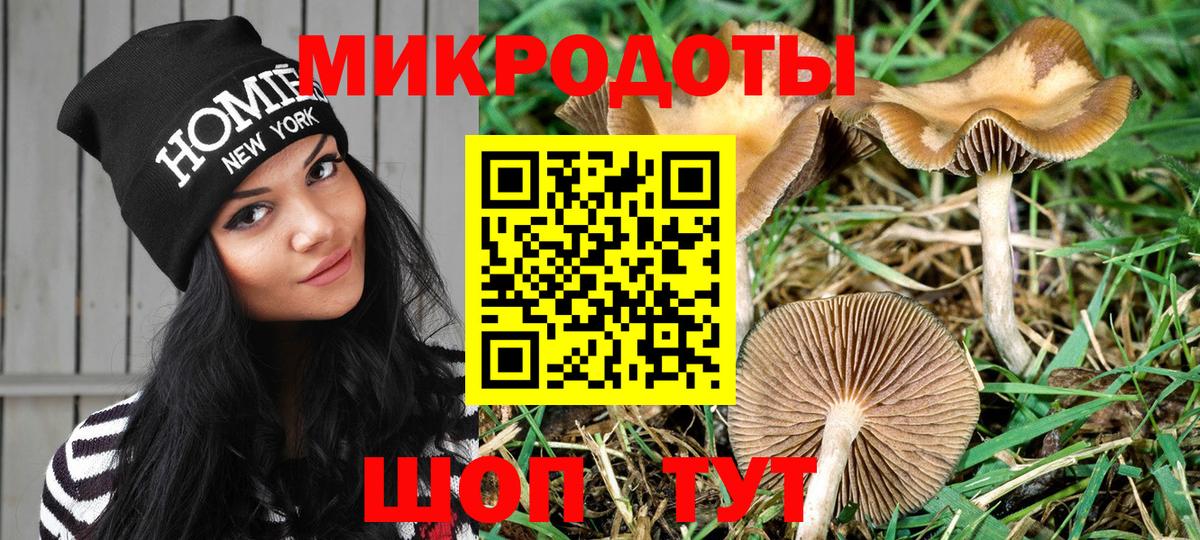 Галлюциногенные грибы Psilocybine cubensis  Галлюциногенные грибы мухоморы  Всеволожск  Вход с VPN 
