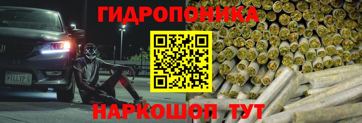 Бошки марихуана план Всеволожск